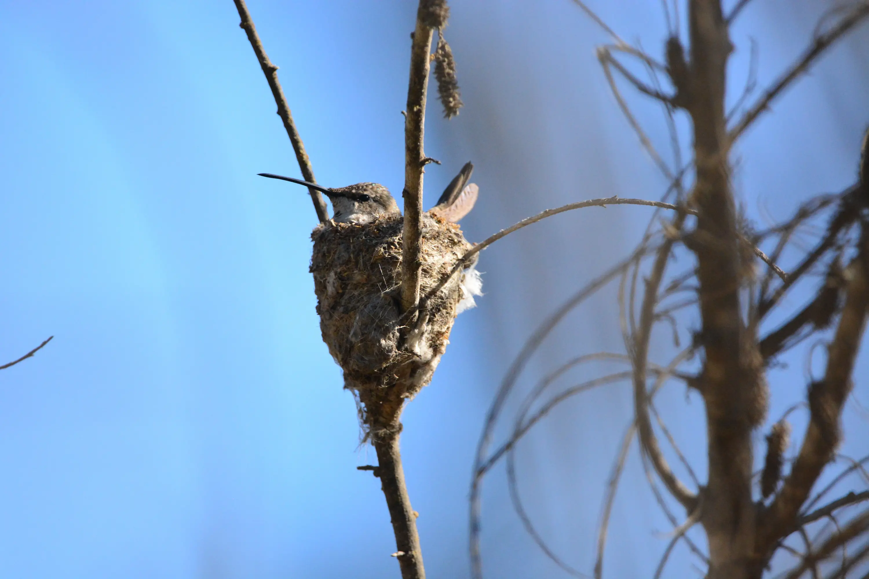 Operación industrial